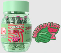 Bodega Boyz 5pk Shorties | Watermelon Z (H)