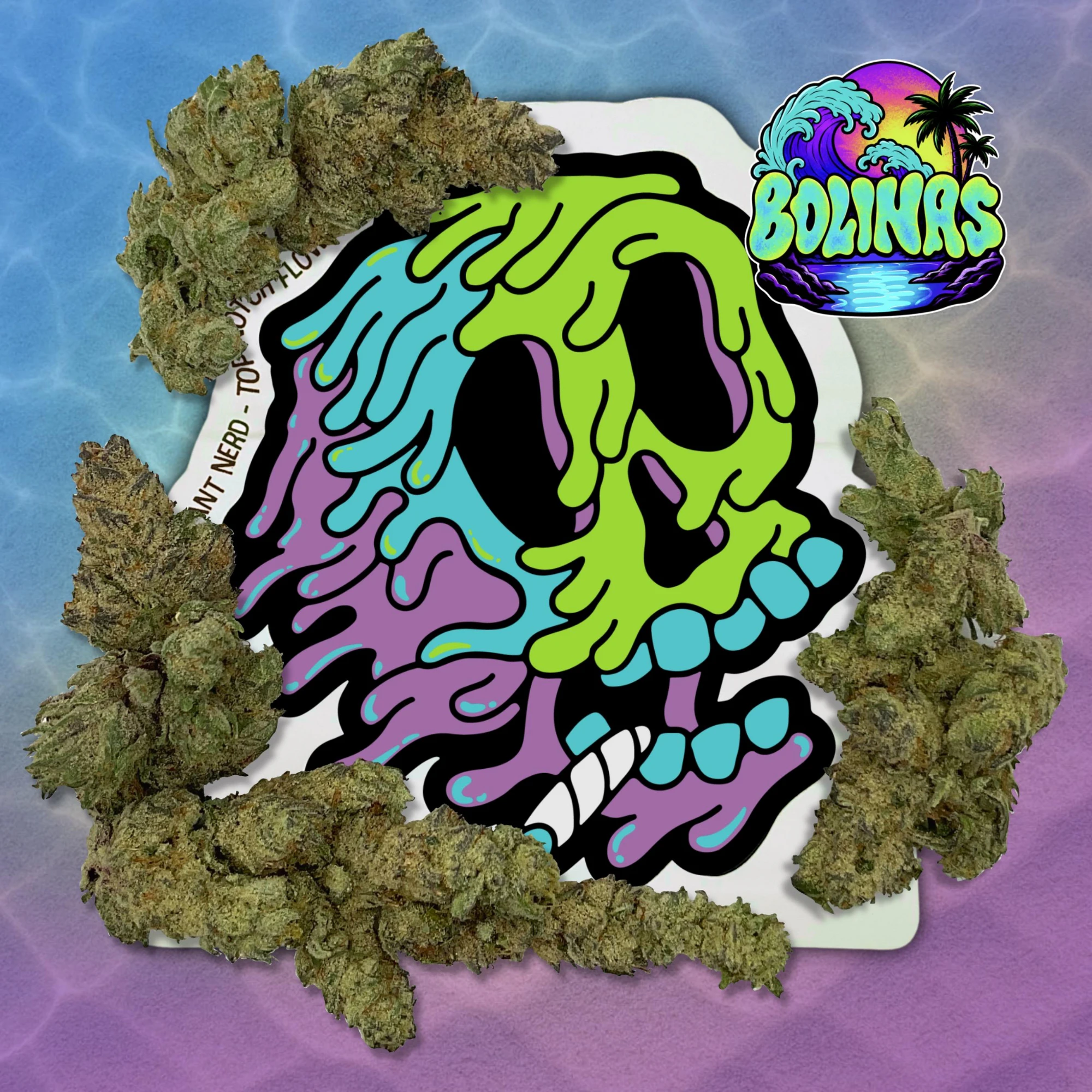 Plant Nerd - Bolinas | 3.5g Main Image