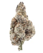 TVC | Bomboloni | Bulk Flower