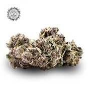 Boof Tart (Pre-Pack 1/8th) Adult-Use