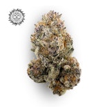 Boof Tart Bulk Flower - FIRE ISLAND