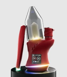 FOCUS V - Focus V Carta 2 - Bordeaux 