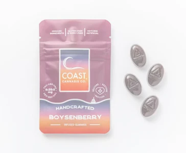 COAST - Coast Cruiser 1:4:1 Boysenberry Gummies 4 Pack - 20mg - TBI