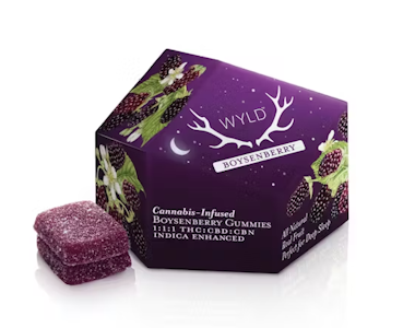WYLD - WYLD - Boysenberry 1:1:1 THC:CBD:CBN Gummies 300mg