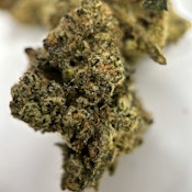 Brain Candy
