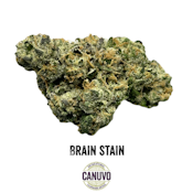 Canuvo | Brain Stain | Premium Flower | 7g [I]