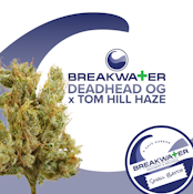 [MED] Breakwater | Deadhead OG x Tom Hill Haze | 3.5g Flower