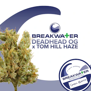 Breakwater - Breakwater | Deadhead OG x Tom Hill Haze | 3.5g | Flower