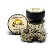 Blueberry Muffin (I) | 7g Sungrown Flower | Briceland Forest Farm