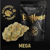 MEGA | Doghouse | Bulk Flower
