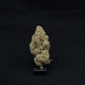 THC | Brrr Berry