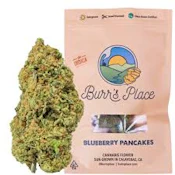 BURRS PLACE | BLUEBERRY PANCAKES | FLOWER | 28G