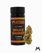 urbanXtracts | Bruce Banner | 14g