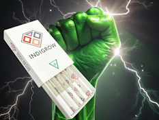 5- Pack Bruce Banner Pre-rolls