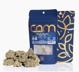 CAM - CAM Bubba's Girl 1/4 31%