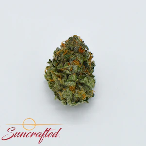 Suncrafted - Las Vegas Bubba Kush Flower - 3.5g - HHG