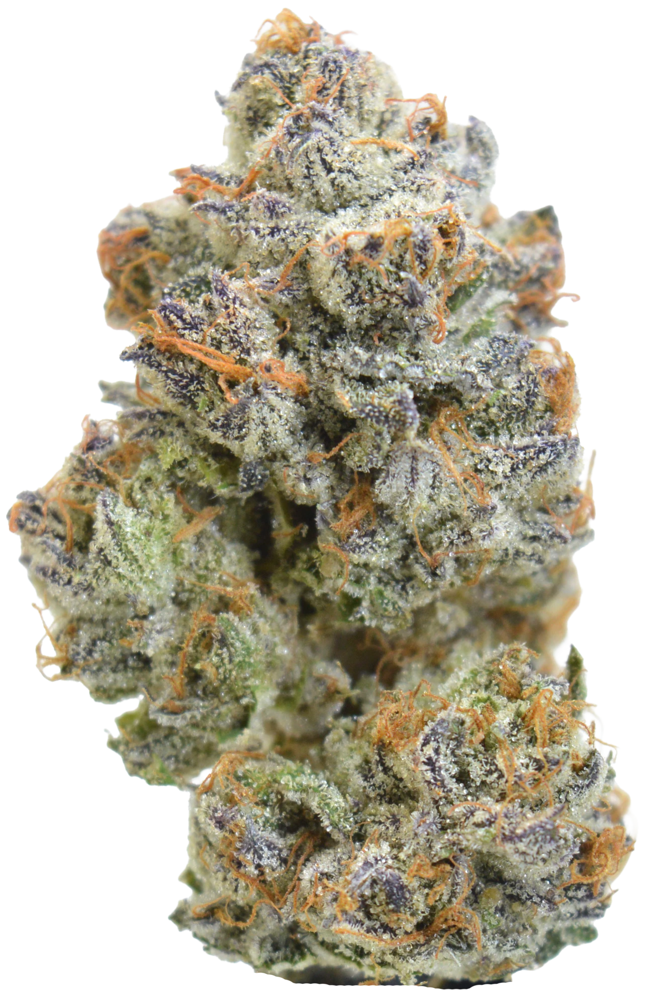 MOCA - MOCA Flowers - 1/8th Mylar Bag - Bubbalicious Main Image