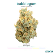 MOCA Flowers - 1G Smalls - Bubblegum