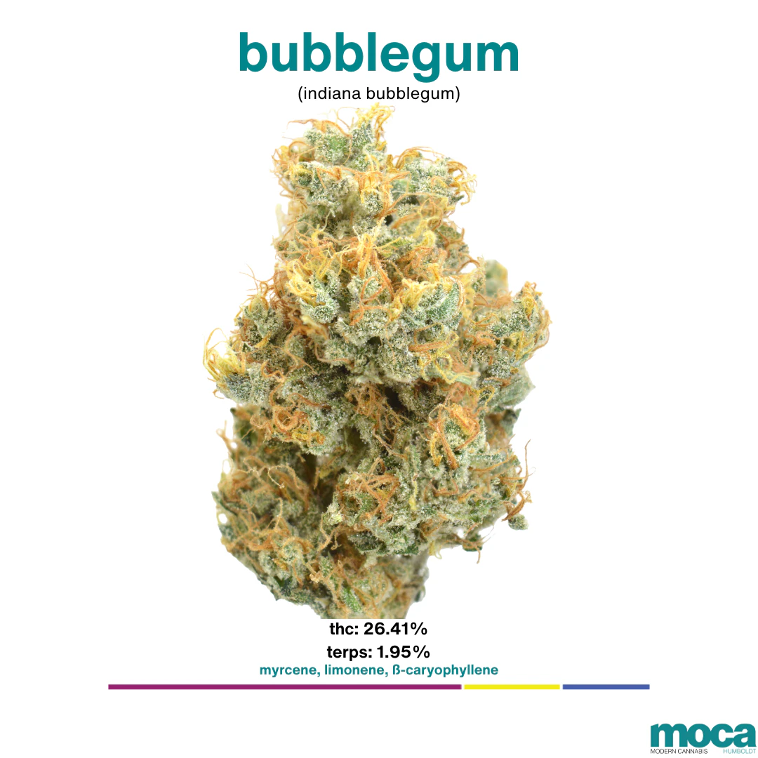 MOCA Flowers - MOCA Flowers - 1/8th Mylar Bag - Bubblegum Main Image