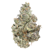 Bubblegum - 3.5g (H) - Sense