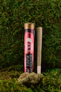 GOLDEN GARDEN - Golden Garden | Pre-Roll | Joint - Buckin Runtz | 1g