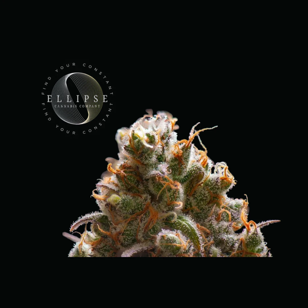 Ellipse Cannabis - Death Breath | Flower Main Image