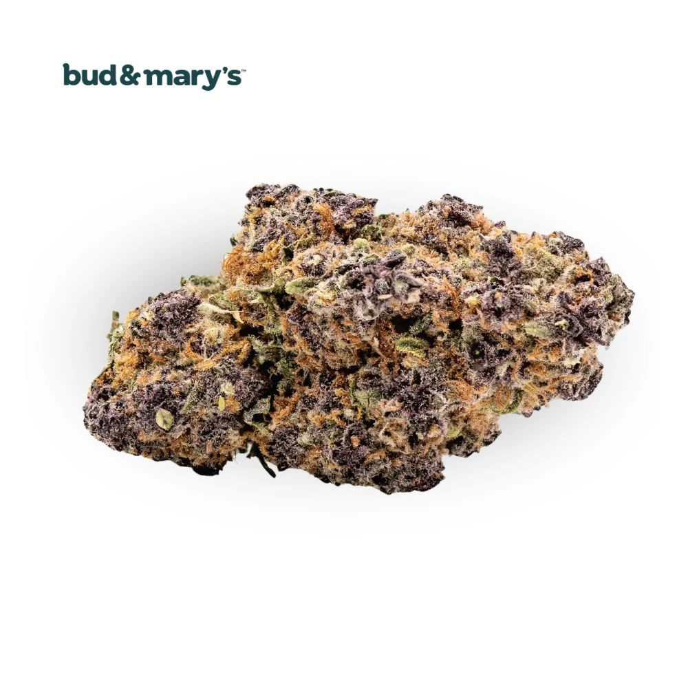 Bud & Mary's - Dew Berry Bulk Flower - BUD & MARY'S Main Image