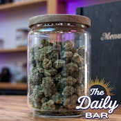 Drunken Watermelon Buds - HHG