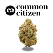 Buddha Tahoe OG 1/8th