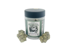 Budularo - Bubba Kush x Original Haze Preroll - 1g