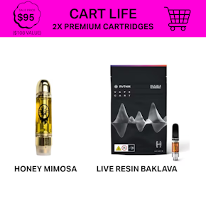 Cart Life Bundle