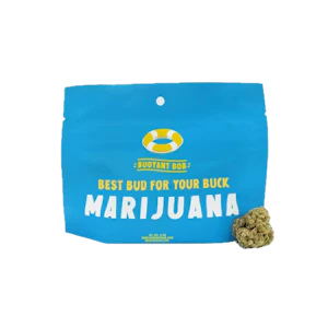 BUOYANT BOB - Bob's Mimosa Noire Big Bud 3.5g