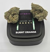 Sacci | Burnt Orange | 0.7g