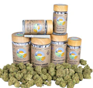 Burr's Place | The Daily Driver | Sun Grown Flower | 10Pk Pre-Roll | 7g