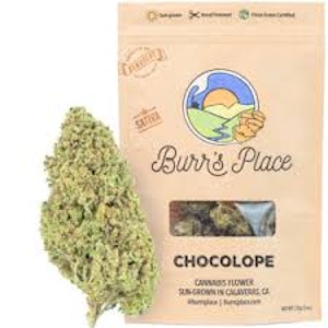 BURR'S PLACE - Chocolope [S] Flower 3.5g 