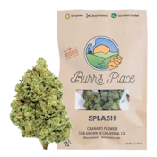 Burr's Place - 7g Splash - Hybrid