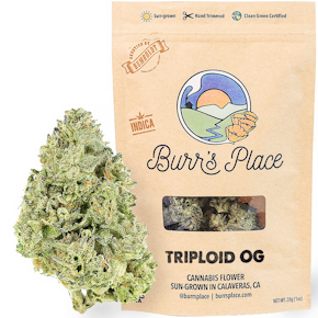 Triploid OG (1oz)