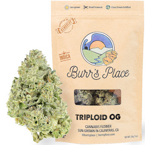 BURR'S PLACE - Triploid OG (1oz)