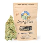 Burr's Place Triploid OG 1oz