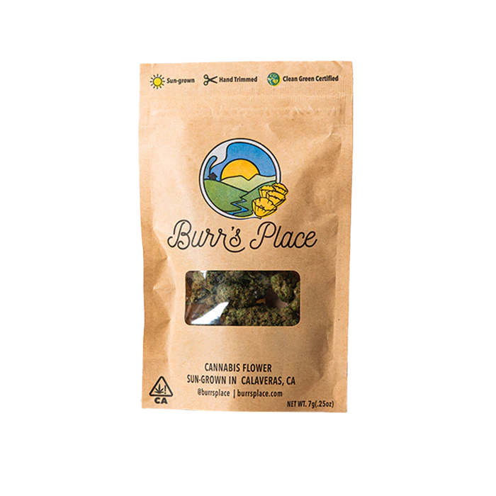 Burr's Place - Burr's Place - 7g BIGS Flower (Carbon Fiber-Indica) Main Image