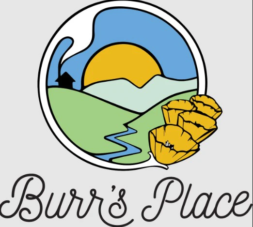 Burr's Place - Burr's Place Tropicanna Shoes 1/4 PD 31% Main Image