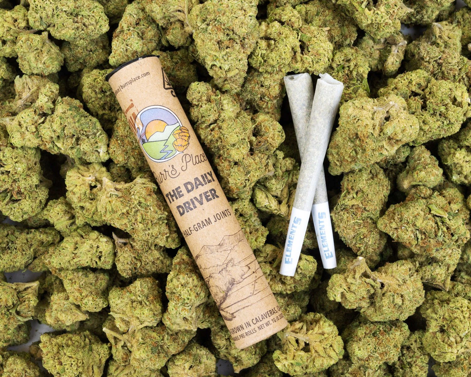 Burr's Place - Burr's Place- The Safety Break Prerolls- 1.0g Main Image