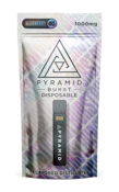 Blueberry Distillate Disposable 1g