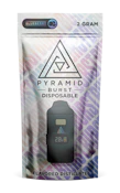 Blueberry Disposable 2g