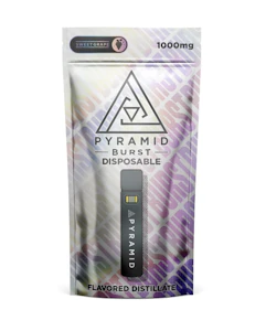 Burst - Blueberry Distilate Disposable 1g