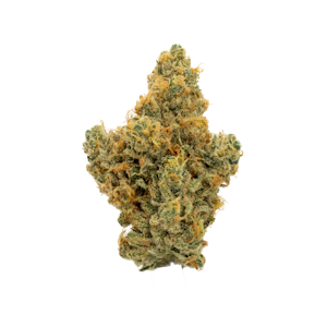 CAMP - CAMP - BUTTERSCOTCH SUNSHINE 3.5 GRAMS