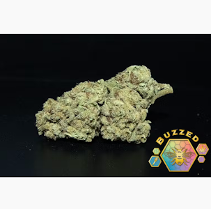 BUZZED - Buzzed 7G Durban Gushers Flower
