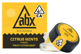ABSOLUTE XTRACTS: Citrus Mints 1g Badder (H)