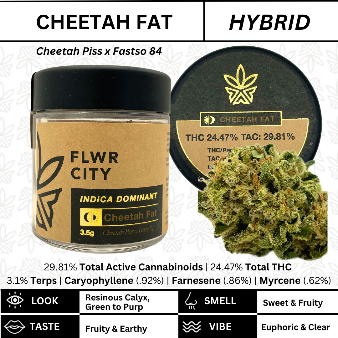 FLOWER CITY - Flwr City - Cheetah Fat - 24.47% THC - 3.5g - Dry Flower Main Image