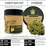 FLWR City - Cheetah Fat - 3.5g - Flower